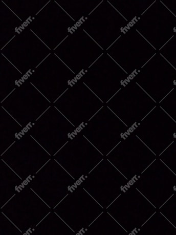 Immagine del campione di lavoro