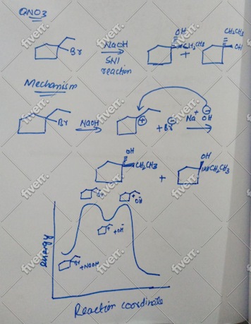 Immagine del campione di lavoro