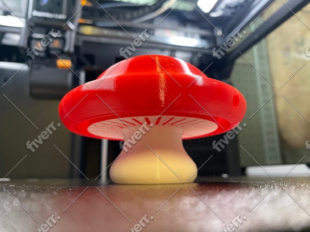 Immagine del campione di lavoro