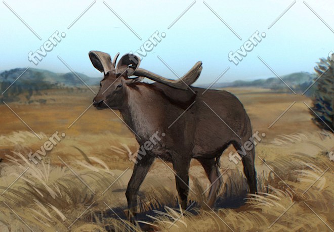 Worksample image