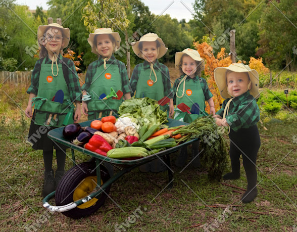 Imagem de amostra