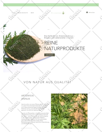 Bild des Arbeitsbeispiels