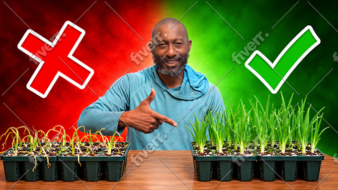 Immagine del campione di lavoro