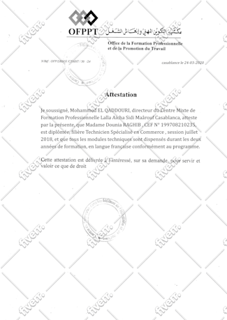 Worksample image