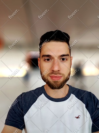Immagine del campione di lavoro