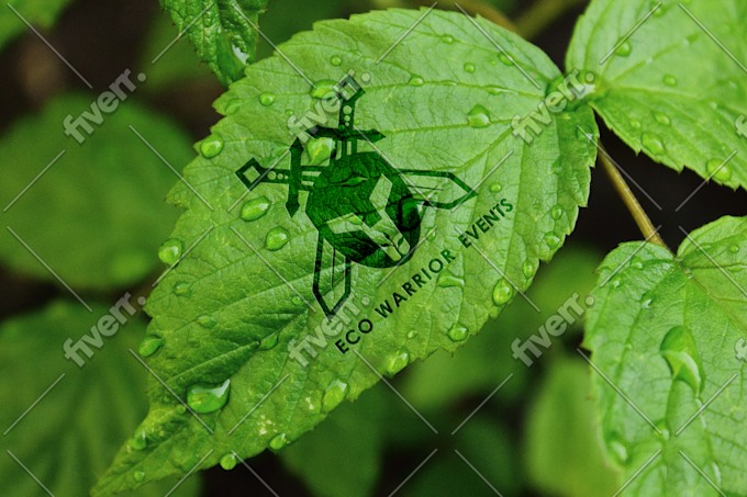Imagem de amostra