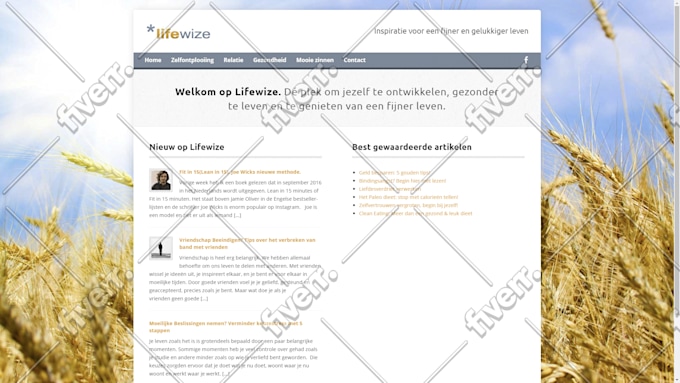 Worksample image