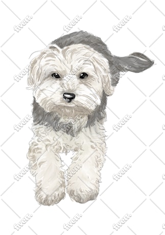 Worksample image