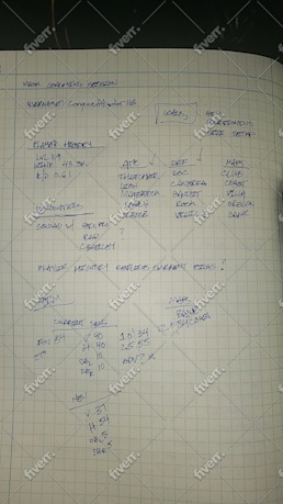 Immagine del campione di lavoro