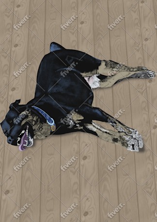 Worksample image