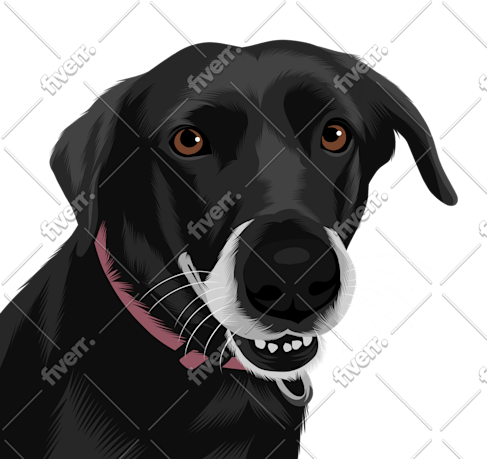 Immagine del campione di lavoro