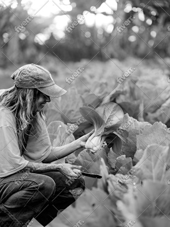 Immagine del campione di lavoro