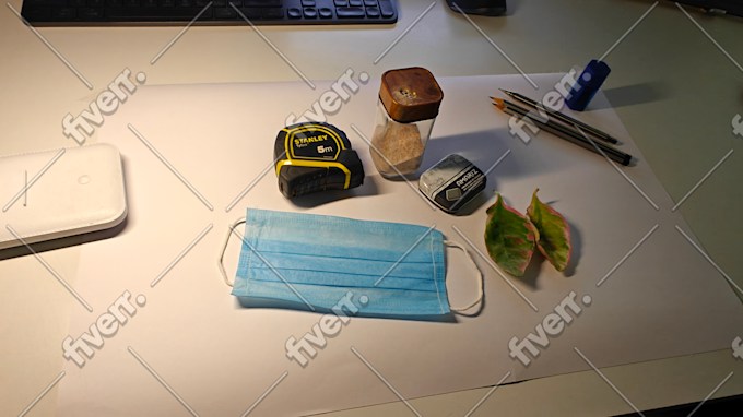 Immagine del campione di lavoro