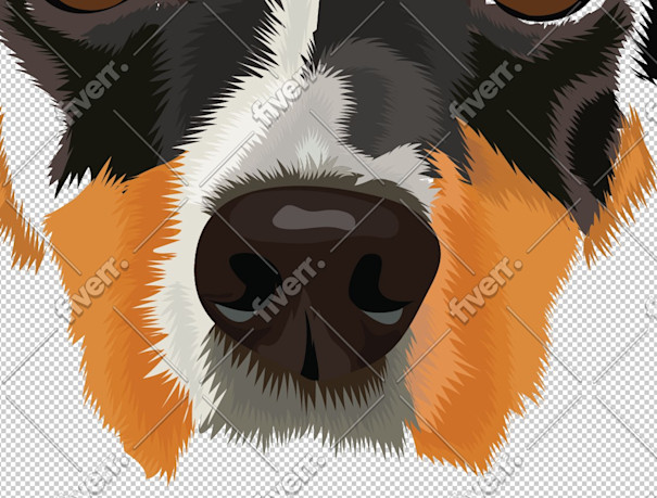 Immagine del campione di lavoro