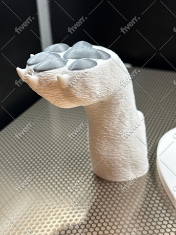 Immagine del campione di lavoro