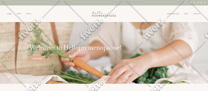 Worksample image