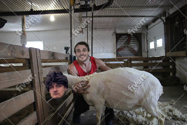 Immagine del campione di lavoro