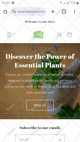 Bild des Arbeitsbeispiels