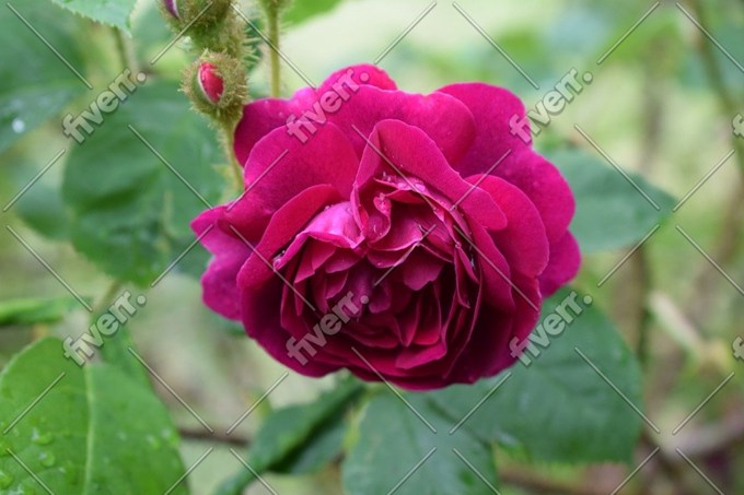 Worksample image
