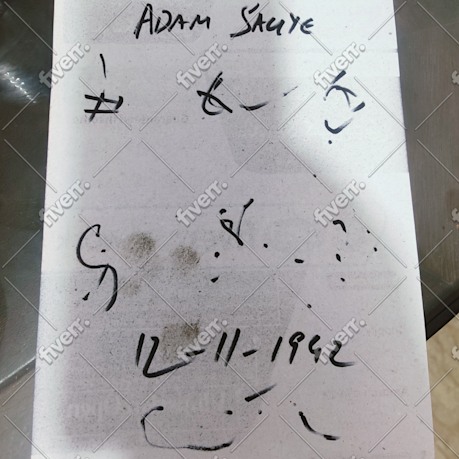 Immagine del campione di lavoro