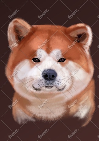 Imagem de amostra