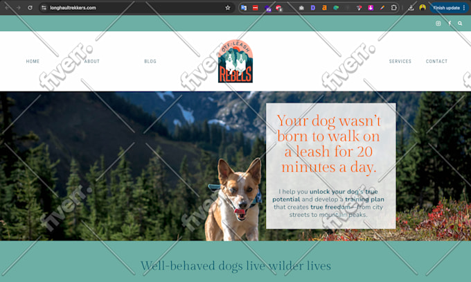 Worksample image