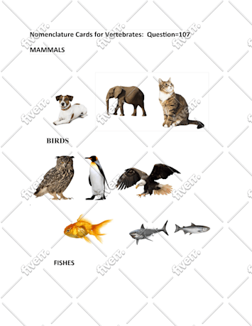 Imagem de amostra