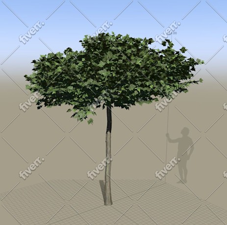 Image d'échantillon de travail