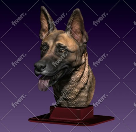 Worksample image