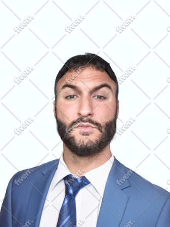Immagine del campione di lavoro