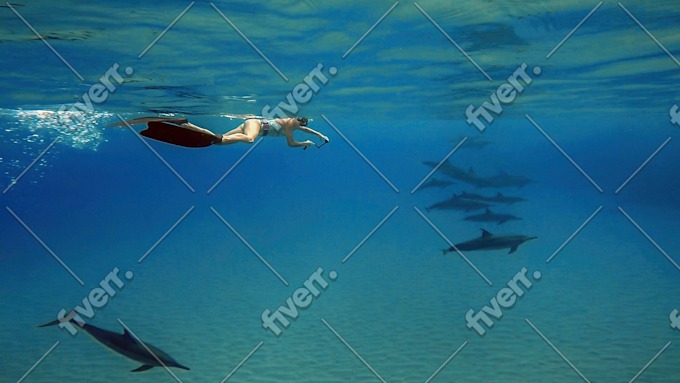 Imagem de amostra