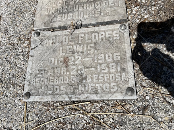 Imagem de amostra