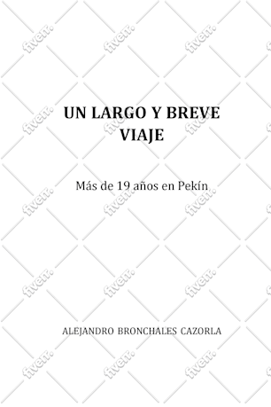 Immagine del campione di lavoro