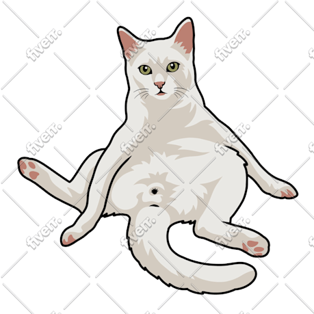 Imagem de amostra