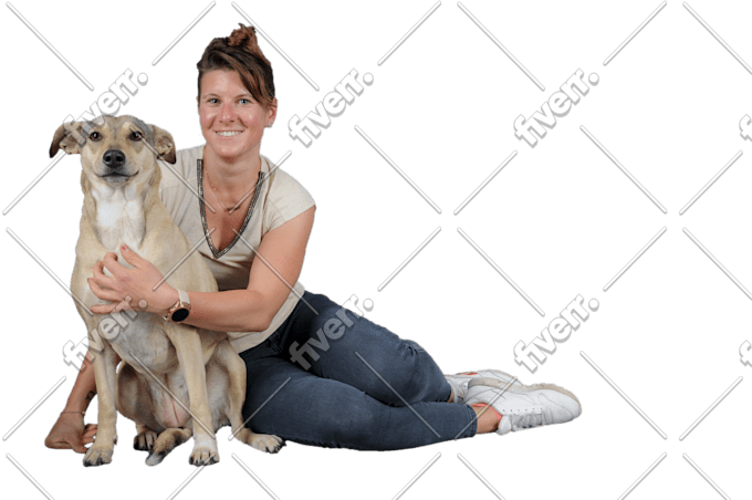 Bild des Arbeitsbeispiels