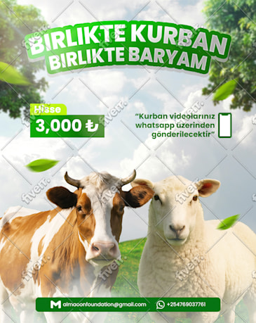 Bild des Arbeitsbeispiels