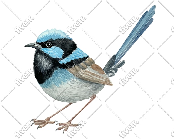Worksample image