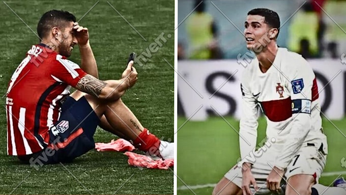 Immagine del campione di lavoro