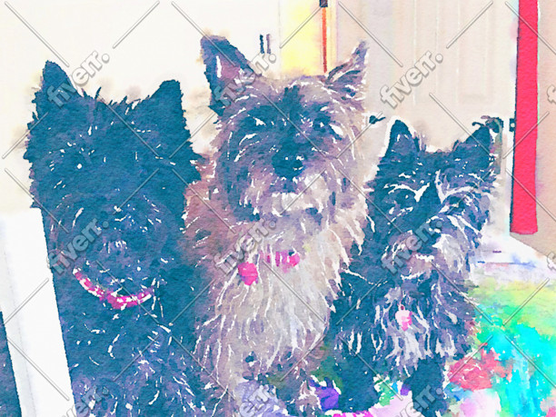 Worksample image