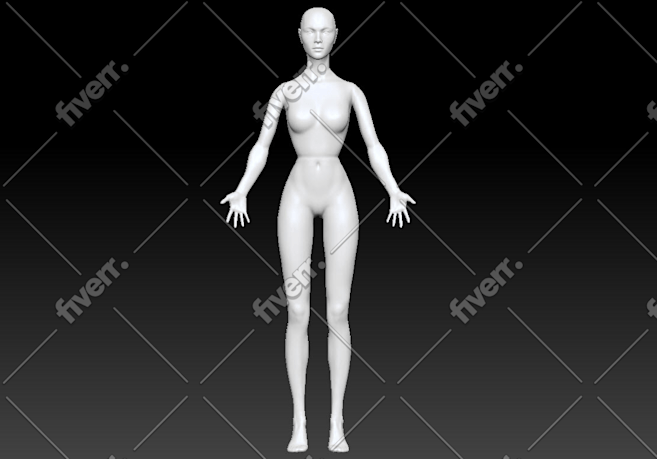 Worksample image