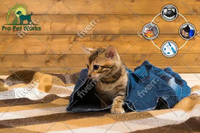 Imagem de amostra