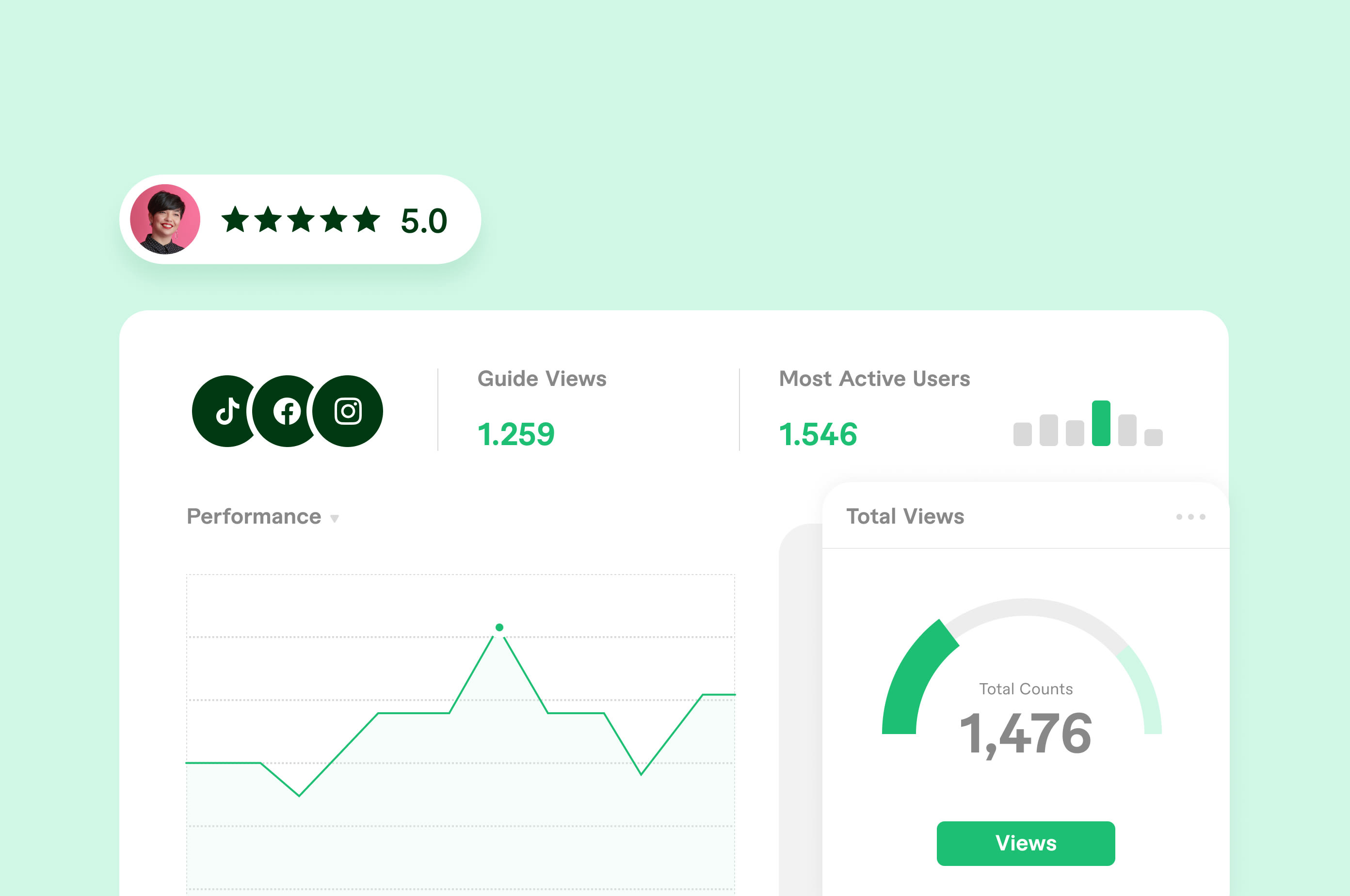 Dashboard showing performance metrics, social media icons, user rating, and total view statistics on a light green background