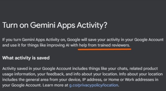 Gemini privacy policy