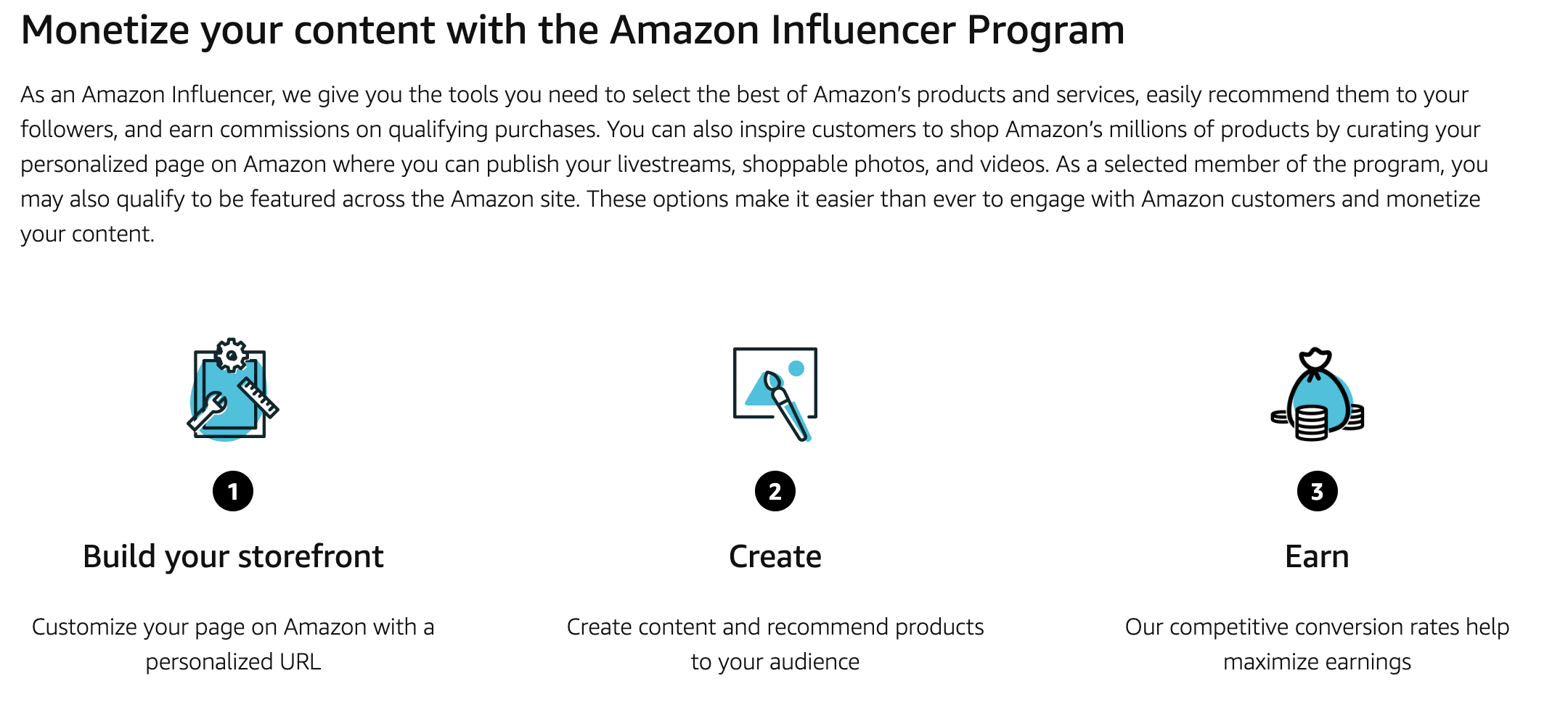 Details of the Amazon Influencer Program.