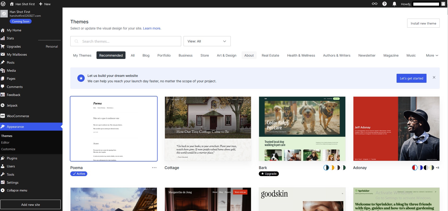 WordPress themes