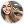 Valeriia T avatar