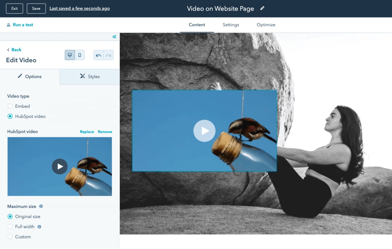 HubSpot video on website page