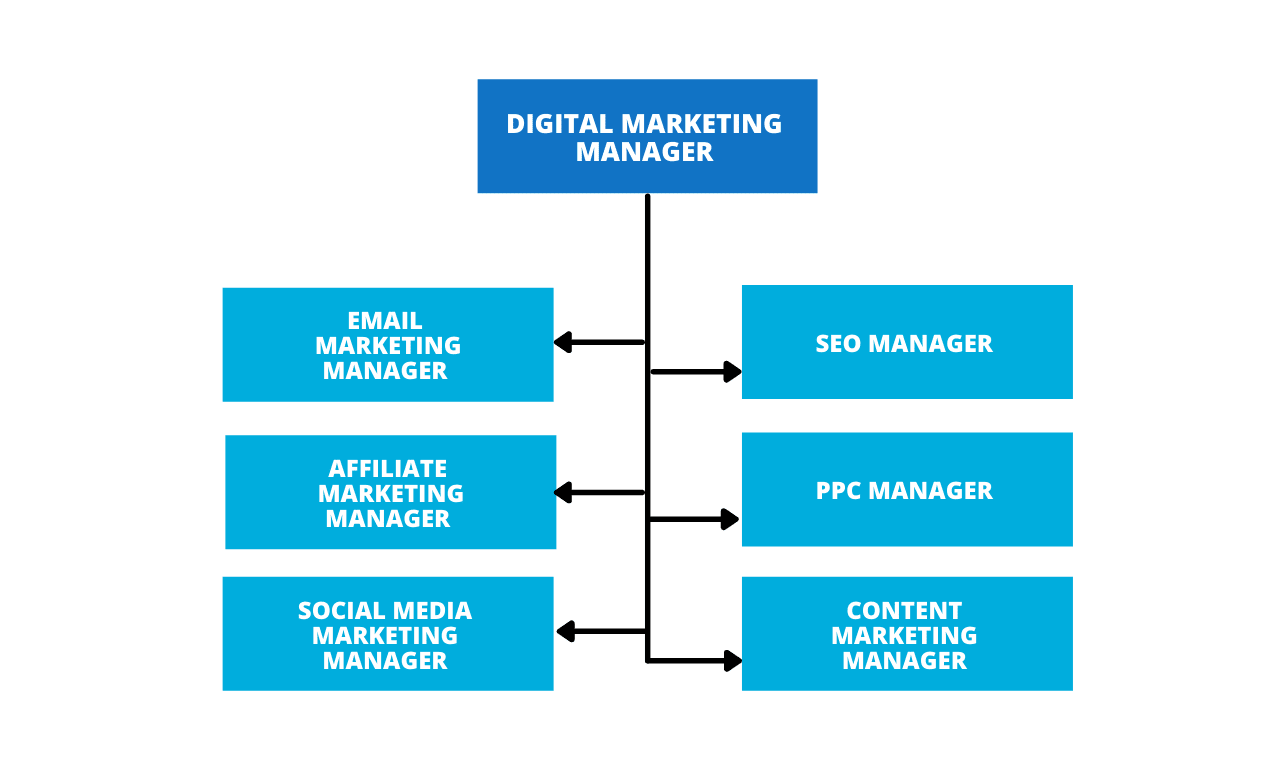 Hierarchy of a digital marketing team
