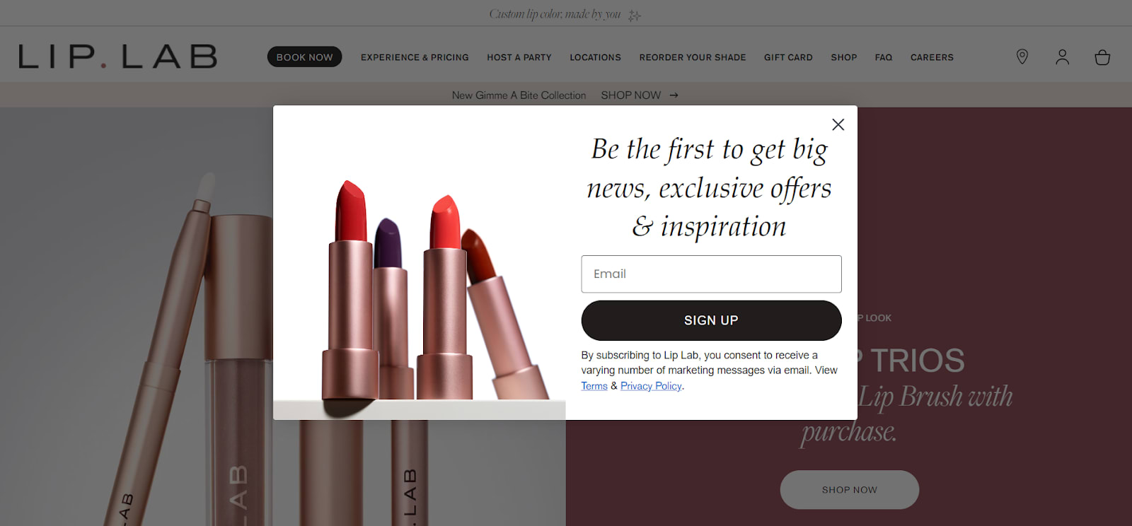 email capture form by Lip Lab