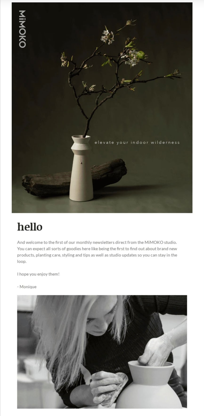 Snippet of an email newsletter from MiMOKO Ceramics